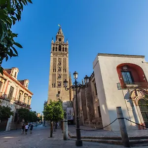 Hernando Colon 12 Seville